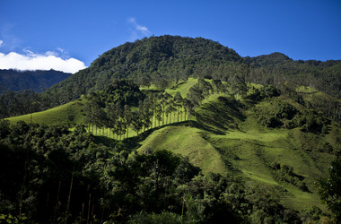 Landschaft im Kaffeedreieck in Kolumbien