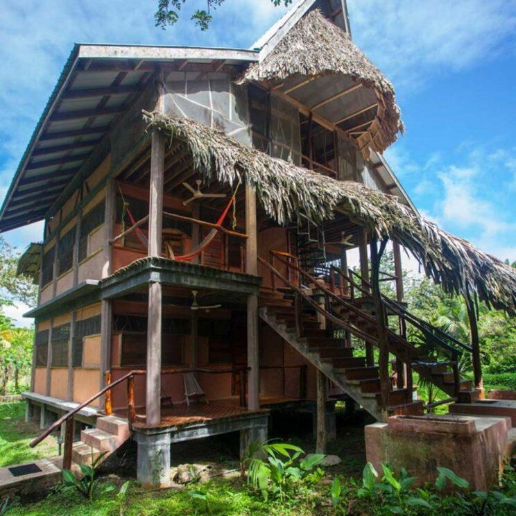 Zweistöckige Dschungel-Cabaña der Cotton Tree Lodge in Belize mit traditionellem Palmendach, Holzbauweise und Blick ins tropische Grün.