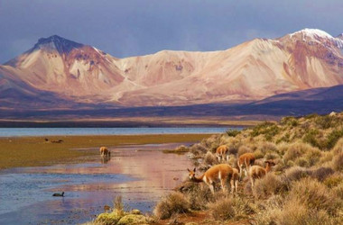Altiplano-Landschaft mit Bergen im Hintergrund