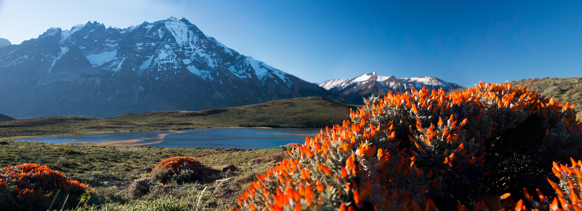 Andenpanorama im Nationalpark Torres del Paine