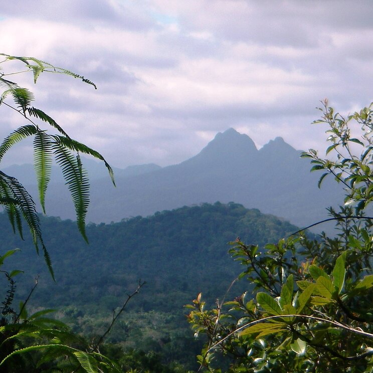 Blick auf Berge und Dschungel im der Reserve Cockscomb Basin in Belize