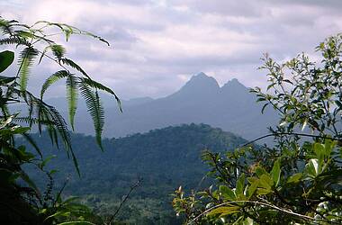 Blick auf Berge und Dschungel im der Reserve Cockscomb Basin in Belize