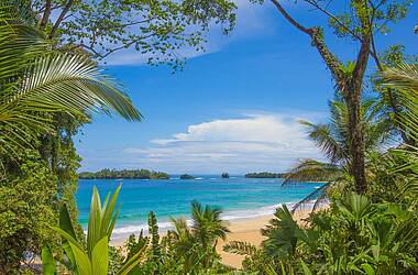 Tropische Vegetation und blaues Meer am Frog Beach, Panama