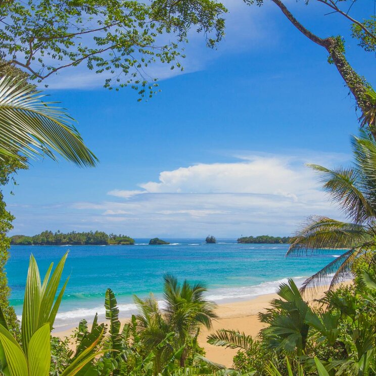 Tropische Vegetation und blaues Meer am Frog Beach, Panama
