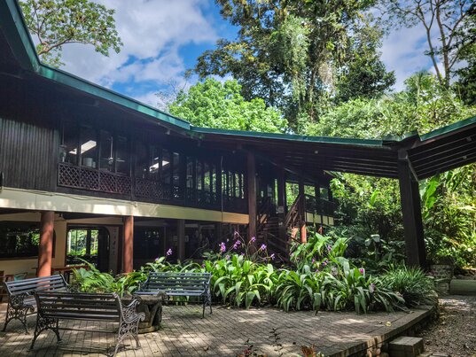 Beleuchtetes Trogon Restaurant der Selva Verde Lodge in Costa Rica umgeben von dichten, hohen Baeumen bei Daemmerung