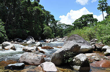 Fluss in der Hakuna Matata Lodge im Amazonas Ecuador