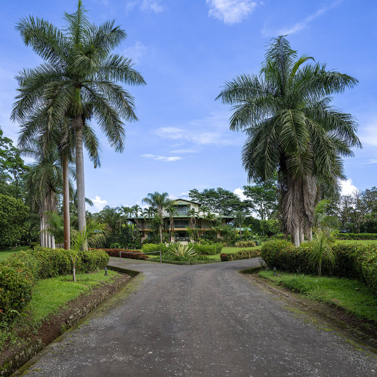Einfahrt zum Hotel Casa Turire bei Turrialba, Costa Rica, gesäumt von Palmen und gepflegtem Garten mit Blick auf das elegante Haupthaus im Kolonialstil.