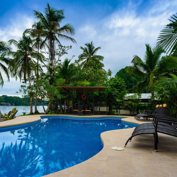 Poolbereich im Manatus Hotel in Tortuguero, Costa Rica, umgeben von Palmen und tropischer Vegetation.