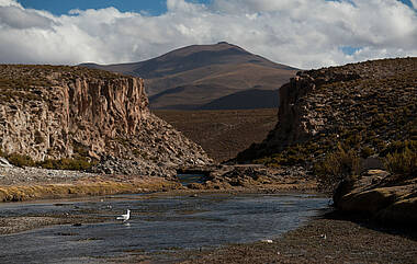 Karge Landschaft bei Villamar in Bolivien.