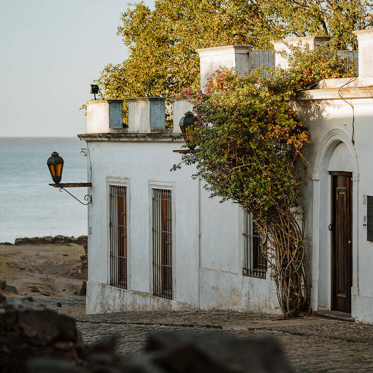 Ein historisches weißes Gebäude im Kolonialstil mit einer Laterne an der Fassade. Das Gebäude, umgeben von grünen Bäumen und bepflanzten Mauern, steht am Rande einer Uferpromenade in Colonia del Sacramento