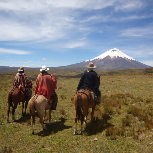 Drei Reiter in traditionellen Ponchos reiten auf eine Wiese vor dem schneebedeckten Vulkan Cotopaxi in Ecuador zu.