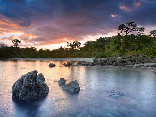 Küste der Isla Palenque in Panama