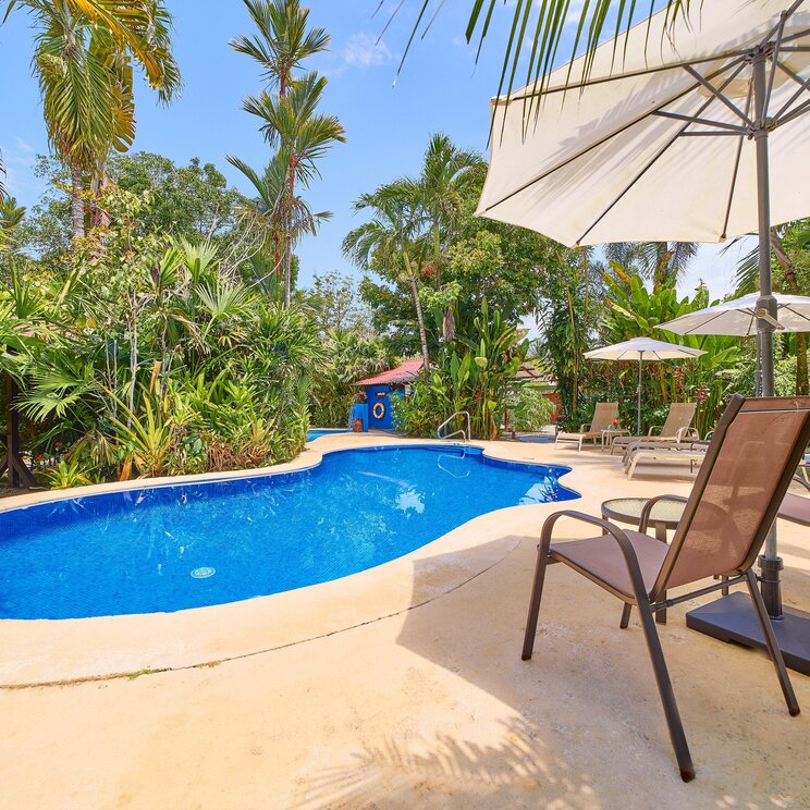 Geschwungener Pool mit Liegestuehlen und Sonnenschirmen in Cahuita.