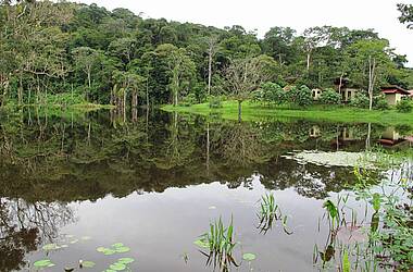 Bungalows im Tieflandregenwald von Boca Tapada