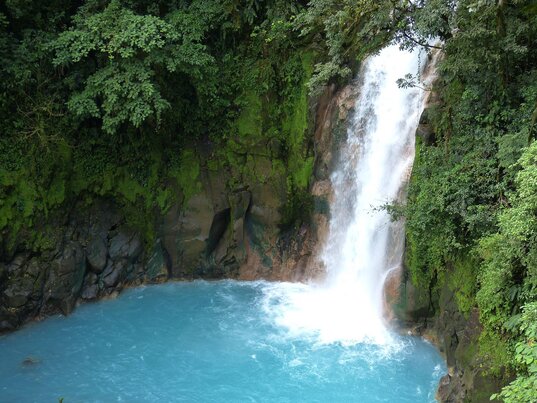 Ein leuchtend hellblauer Wasserfall, am Rio Celeste, in Tenorio, Costa Rica, umgeben von üppigem Grün und moosbedeckten Felsen, stürzt sich in ein Becken.