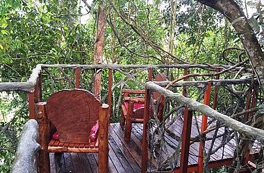 Baumhaus mit Balkon im REgenwald von Boca Tapada