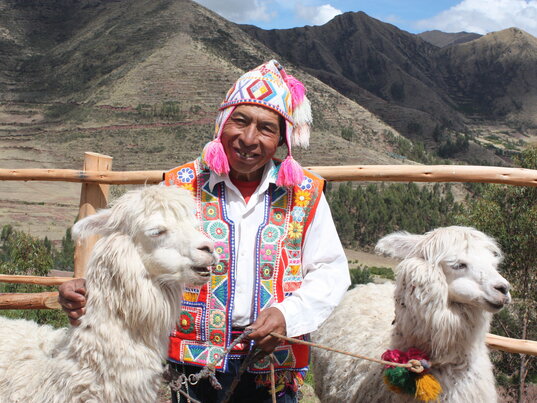 Einheimischer in typischer Tracht mit zwei Lamas auf dem Weg von Cusco ins Heilige Tal.
