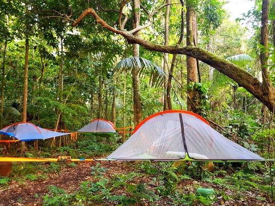 Baumzelte im Madidi und Serere Park in Bolivien