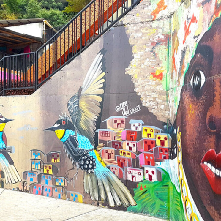 Farbenfrohe Street-Art mit kolumbianischem Einschlag in Medellín