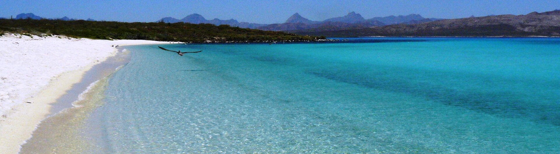 Weiße Sandstrände und türkisblaues Meer in Baja California Sur