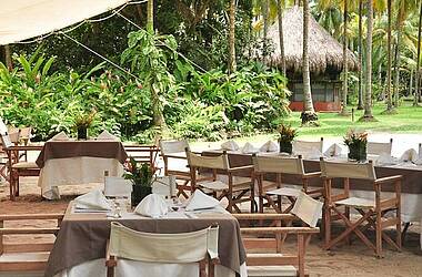 Restaurant- und Essbereich unter Palmen im Hotel Playa Koralia, Karibikküste von Buritaca