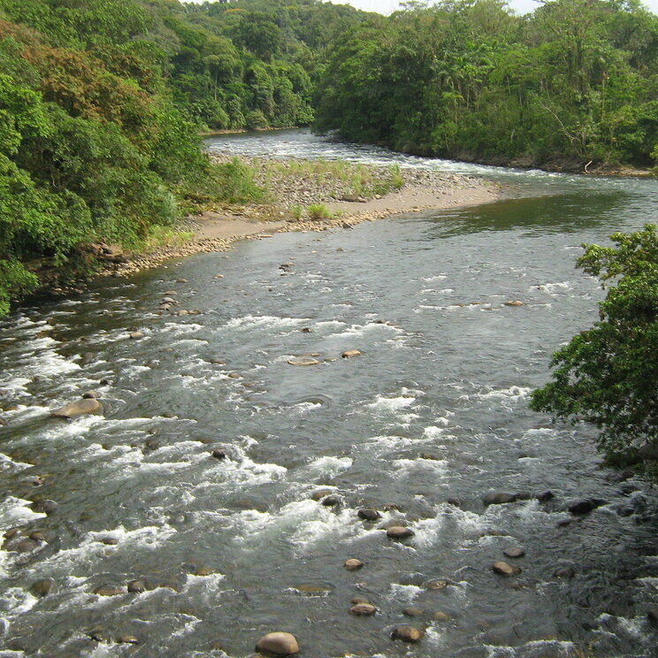 Umgebung der Rainforest Lodge, Sarapiquí Costa Rica