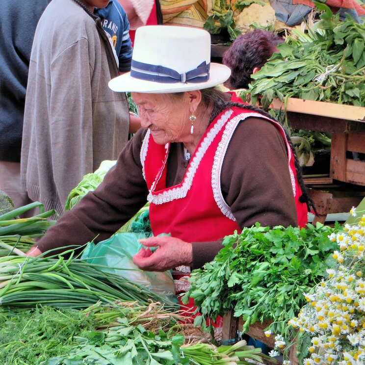 Marktfrau in Ecuador mit Hut und roter Schürze zwischen frischen Kräutern und Gemüse an einem Marktstand.