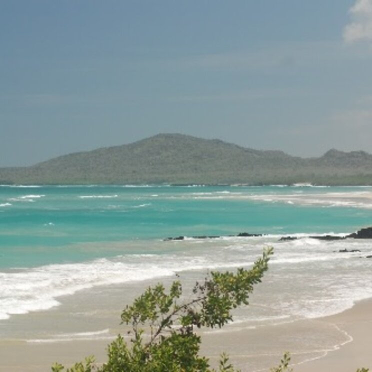 Traumstrand der Insel Isabela, Galapagos Ecuador