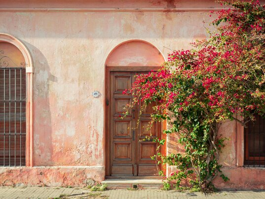 Rosafarbene Kolonialfassade in Colonia del Sacramento mit Holztuer, vergitterten Fenstern und Bougainvillea.