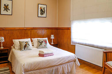 Zimmer im Hotel Albatros mit Vogelbildern an der Wand und Kissen mit Vogelmotiven auf dem Bett