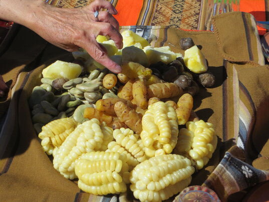 Traditionelles Essen in Bolivien mit verschiedenen Kartoffelsorten, dicken Bohnen und Maiskolben auf einer Andendecke.