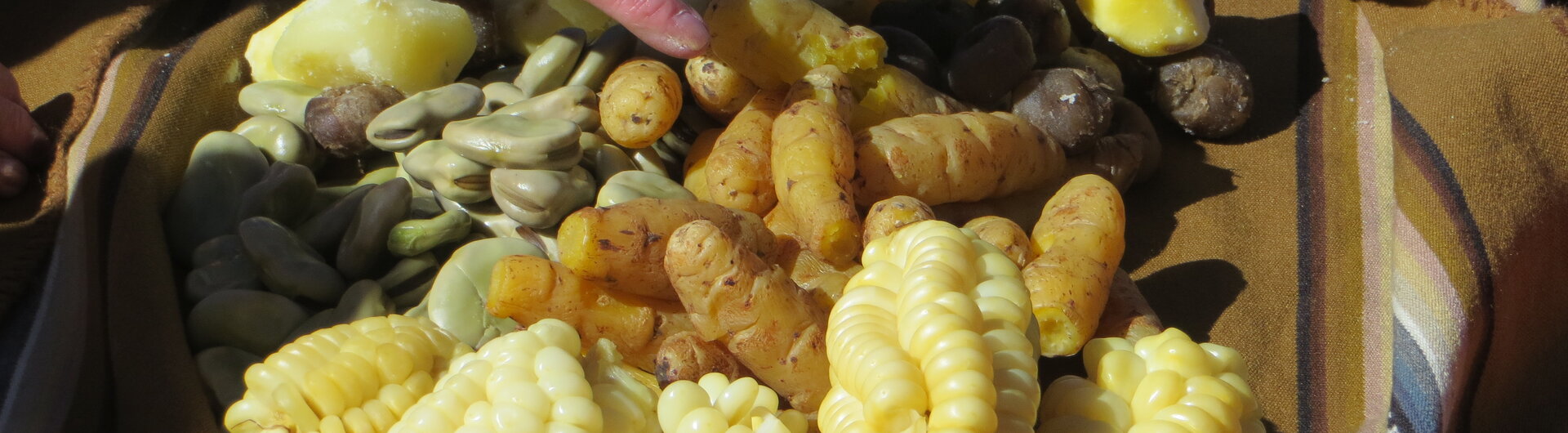 Traditionelles Essen in Bolivien mit verschiedenen Kartoffelsorten, dicken Bohnen und Maiskolben auf einer Andendecke.