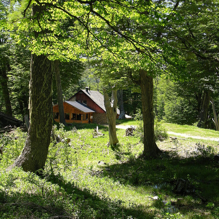 kleines Häuschen im Wald in der Umgebung von Bariloche