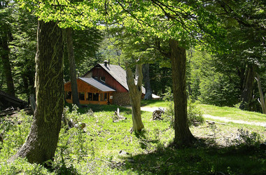kleines Häuschen im Wald in der Umgebung von Bariloche