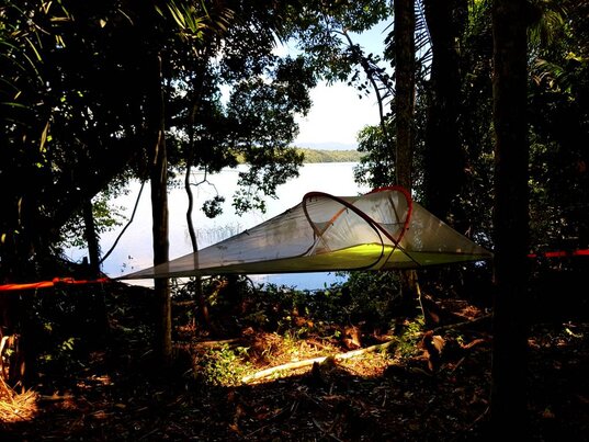 Hängezelt zwischen Bäumen im Amazonas in Bolivien