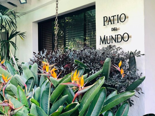 Eingang des Boutique-Hotels Patio del Mundo in Medellín, Kolumbien, umgeben von tropischer Vegetation und stilvoller Fassade.