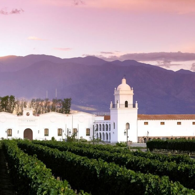 Weinberge in El Cafayate in Nordargentinien