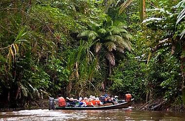 Kanufahren und andere Outdooraktivitäten im Yasuni und Cuyabeno Nationalpark, Ecuador