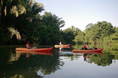 Drei orangene Kayaks auf dem Fluss Rio Grande in Belize