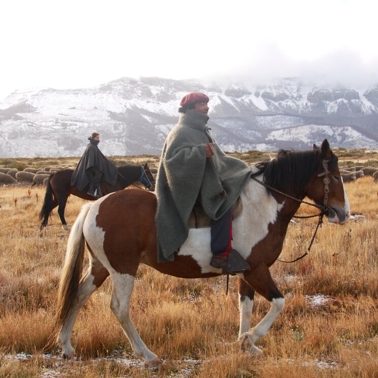 Gauchos zu Pferd in patagonischer Steppe mit Schafherde, herbstlicher Landschaft und schneebedeckten Anden im Hintergrund.