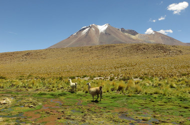 Andenlandschaft in Bolivien
