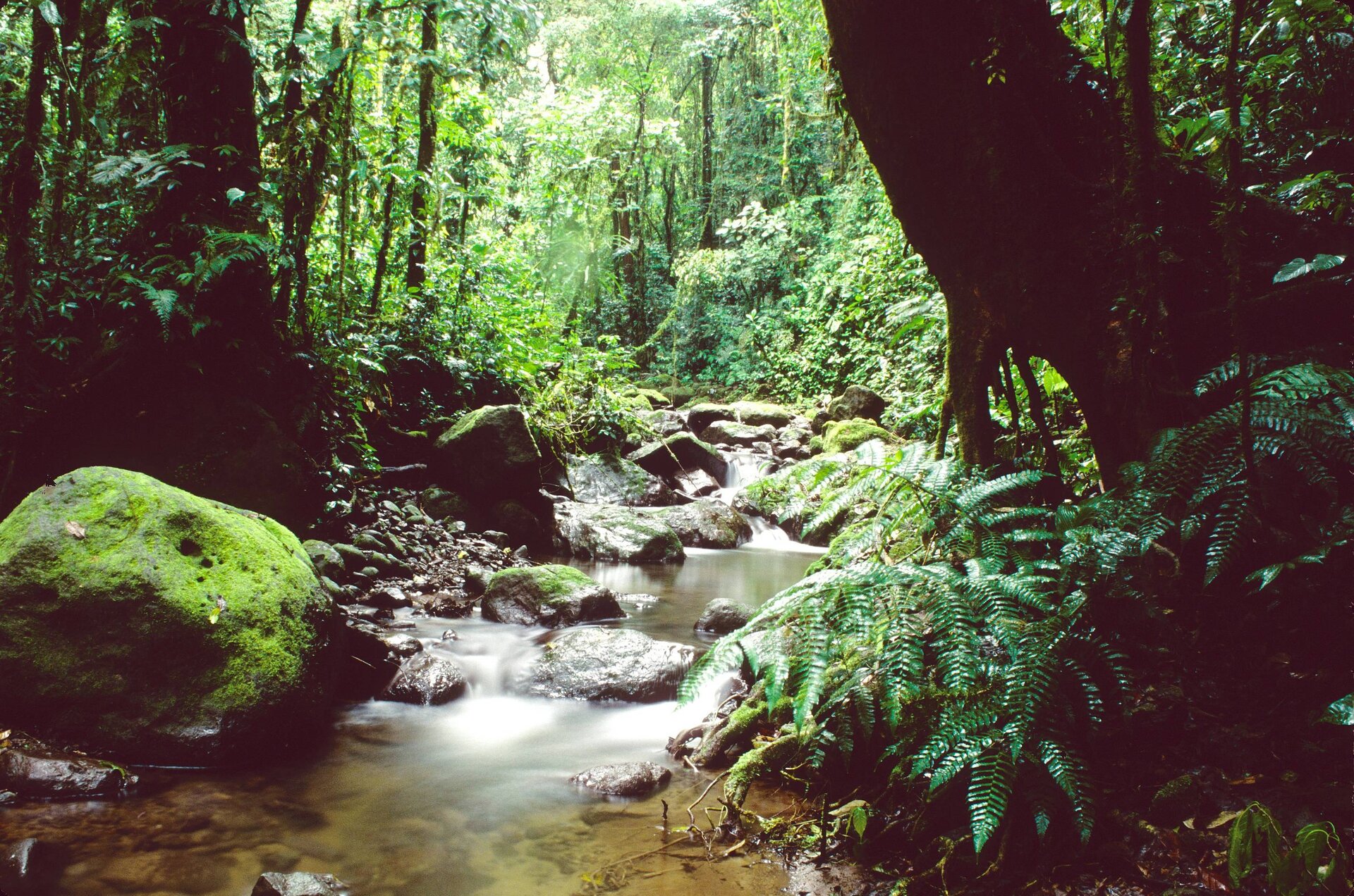 Fluss im Darien Nationalpark in Panama