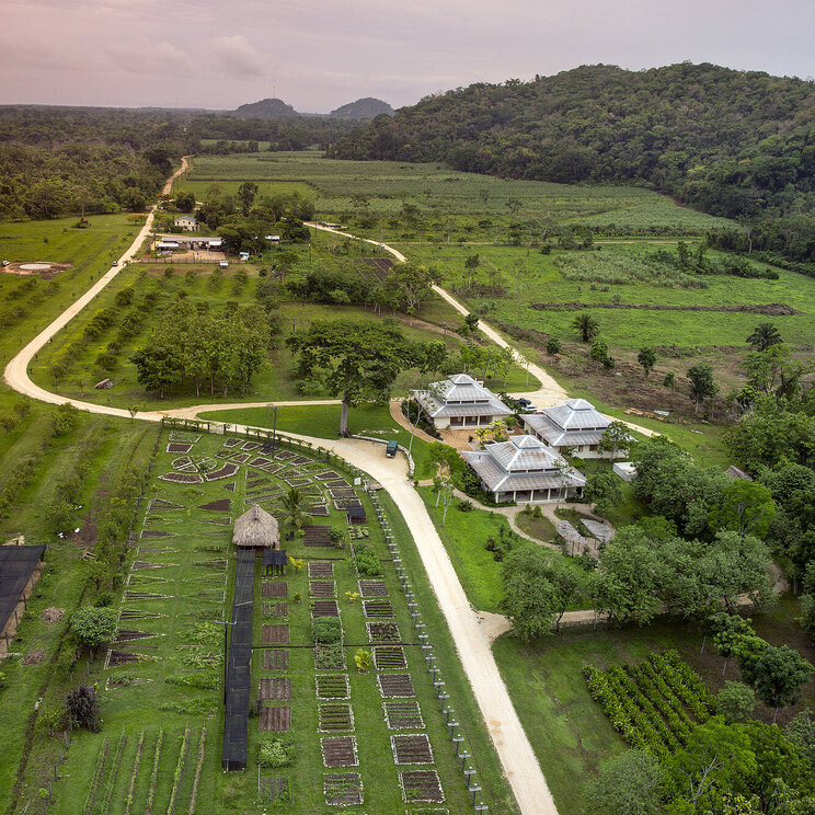 Ansicht der Copal Tree Lodge & Luxury Jungle Resort in Belize