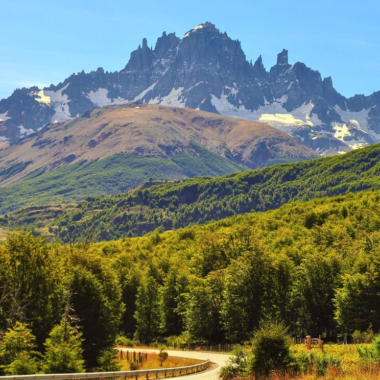 Im Vordergrund Wald in den ein Pfad führt, dahinter die Gipfel des Cerro Castillo