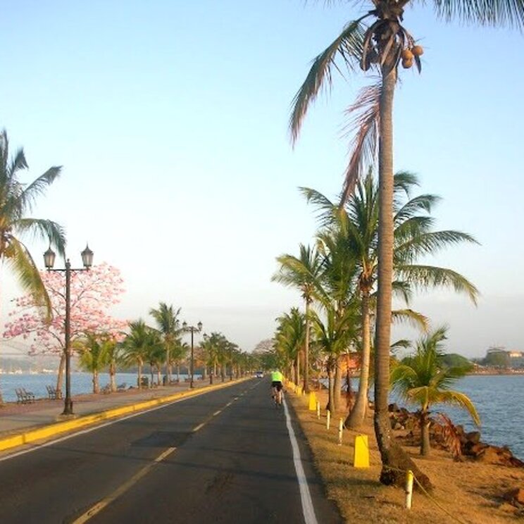 Palmengesäumter Causeway am südlichen Eingang des Panamakanals