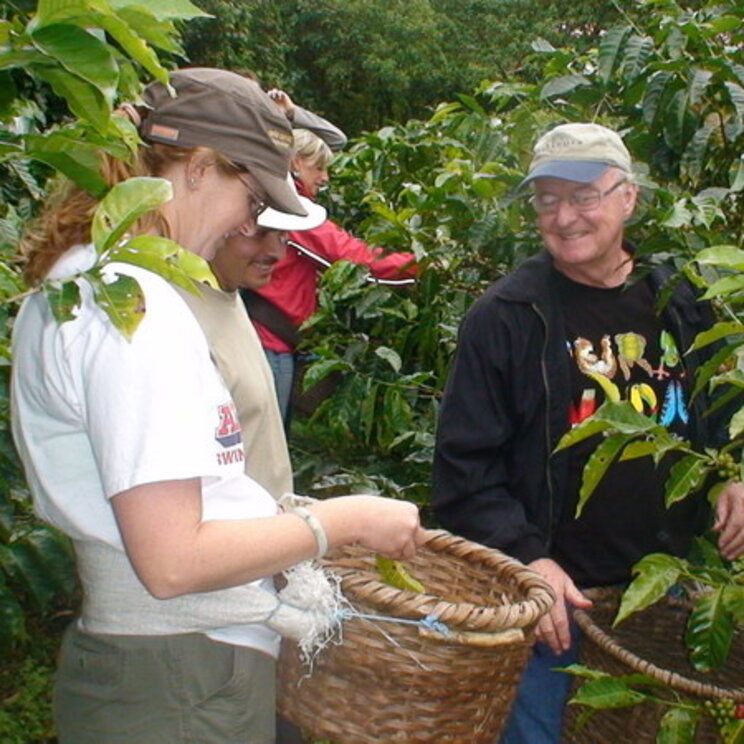 Kaffetour auf der Rundreise Costa Rica und Panama von Gateway Lateinamerika